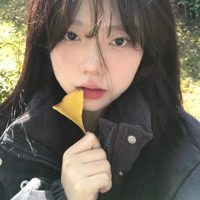 极地毁灭